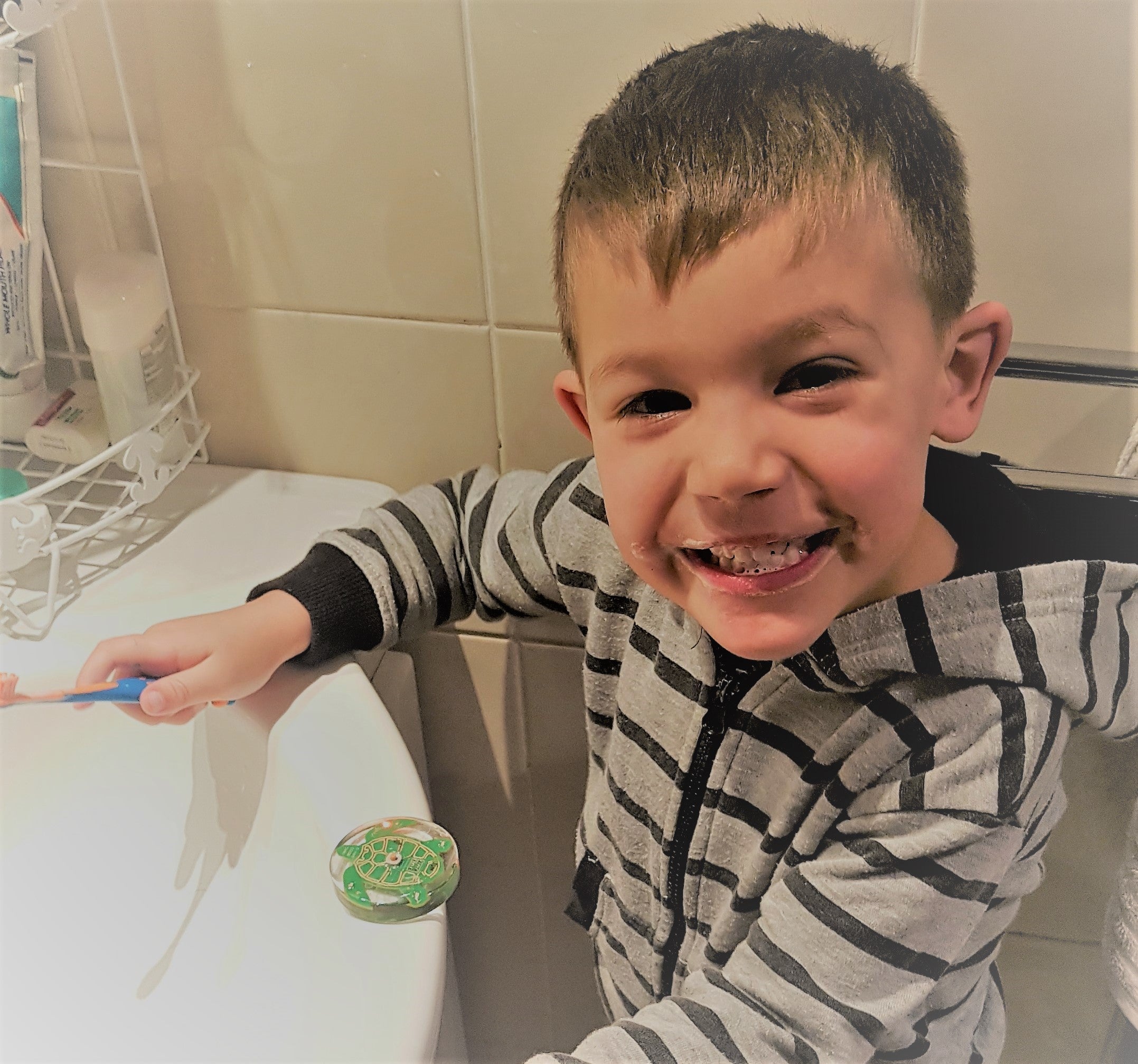 The Turtle Timer is Hiding in Plain (web) Site – Toothbrush Timer