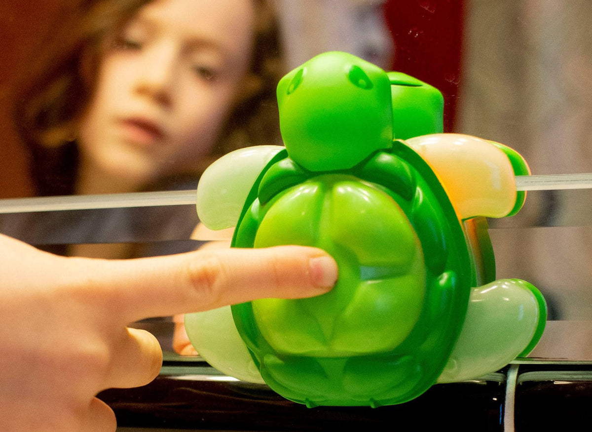 child's finger presses green turtle timer for toothbrushing